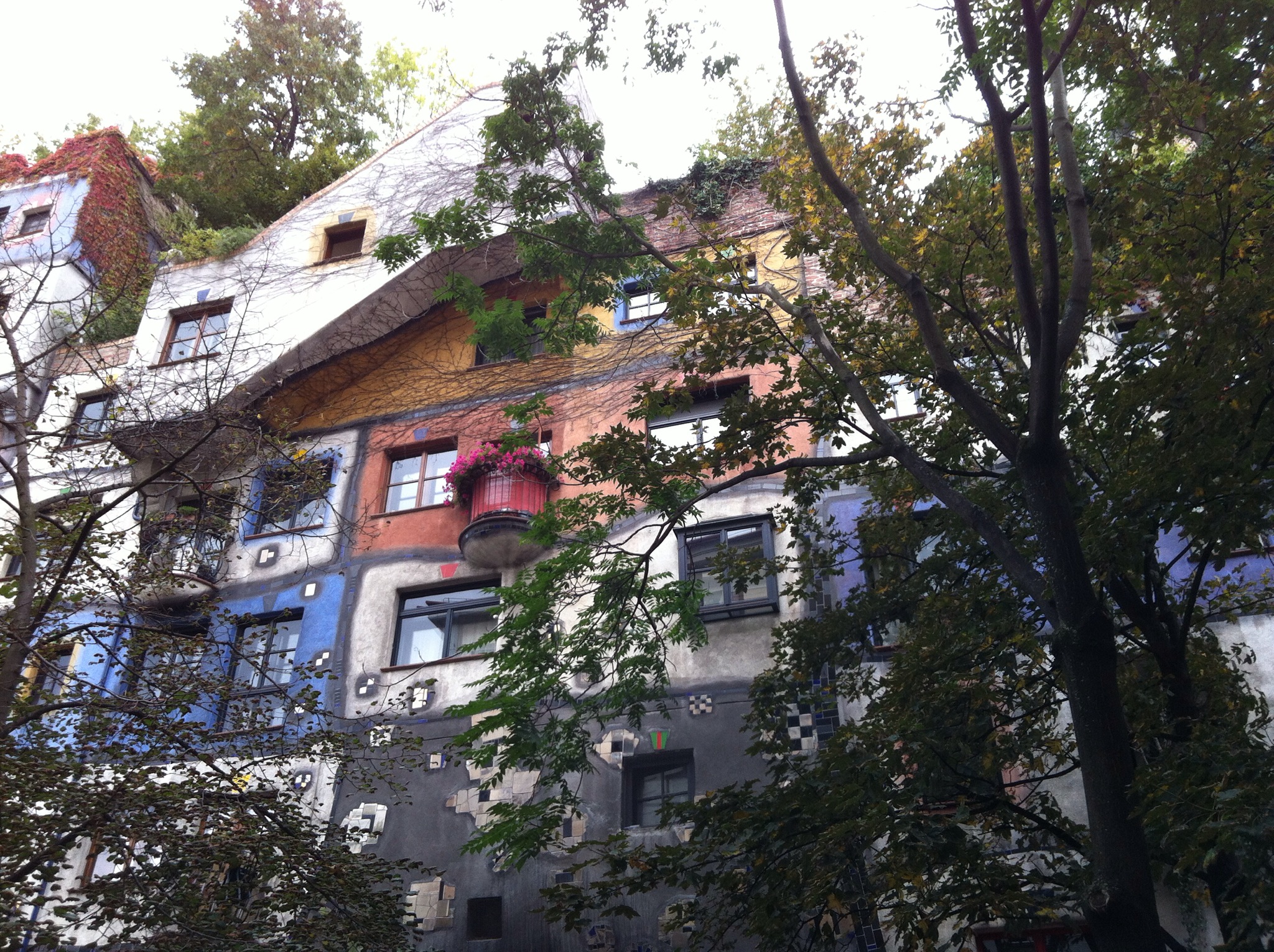 IMG_1929.JPG