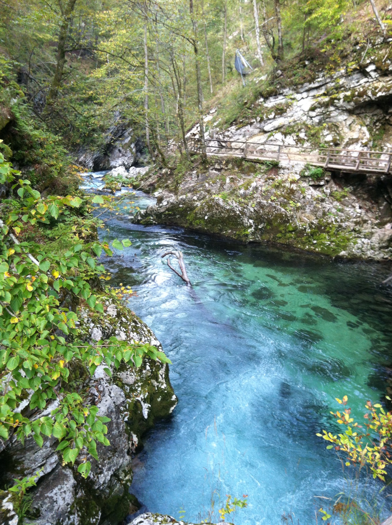 IMG_2042.JPG