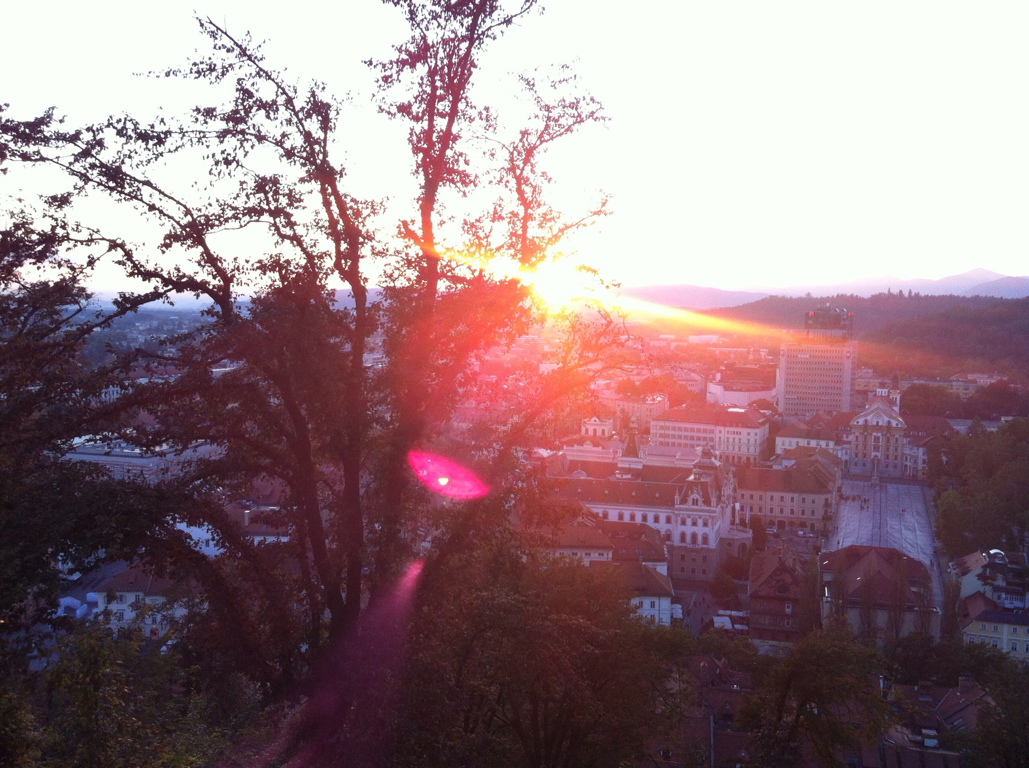 IMG_2084.JPG