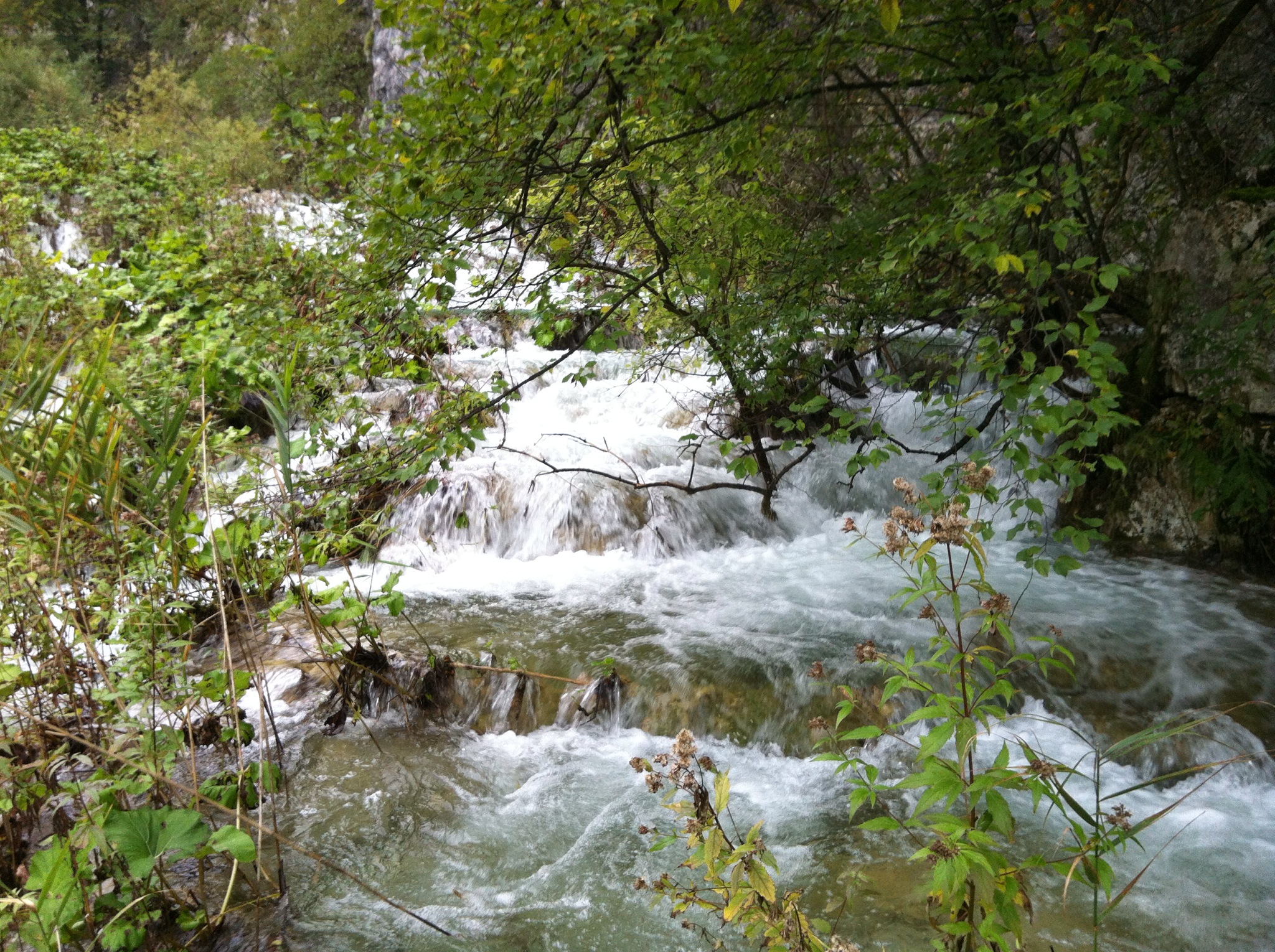 IMG_2165.JPG